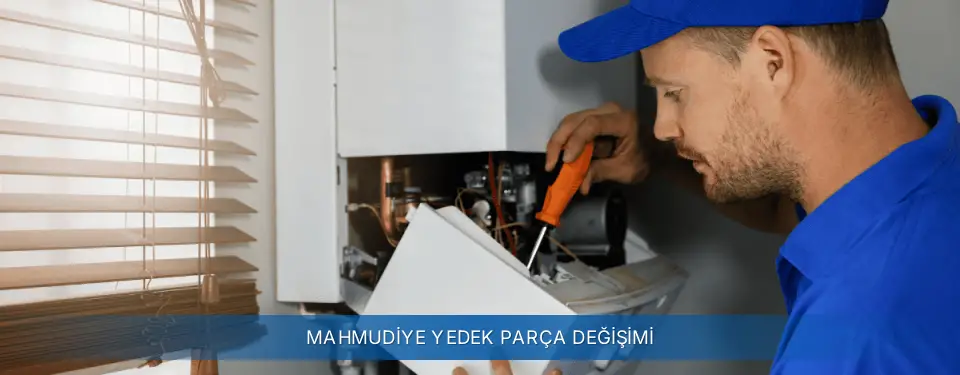 Mahmudiye İlçemi Demirdöküm Yedek Parça Değişimi